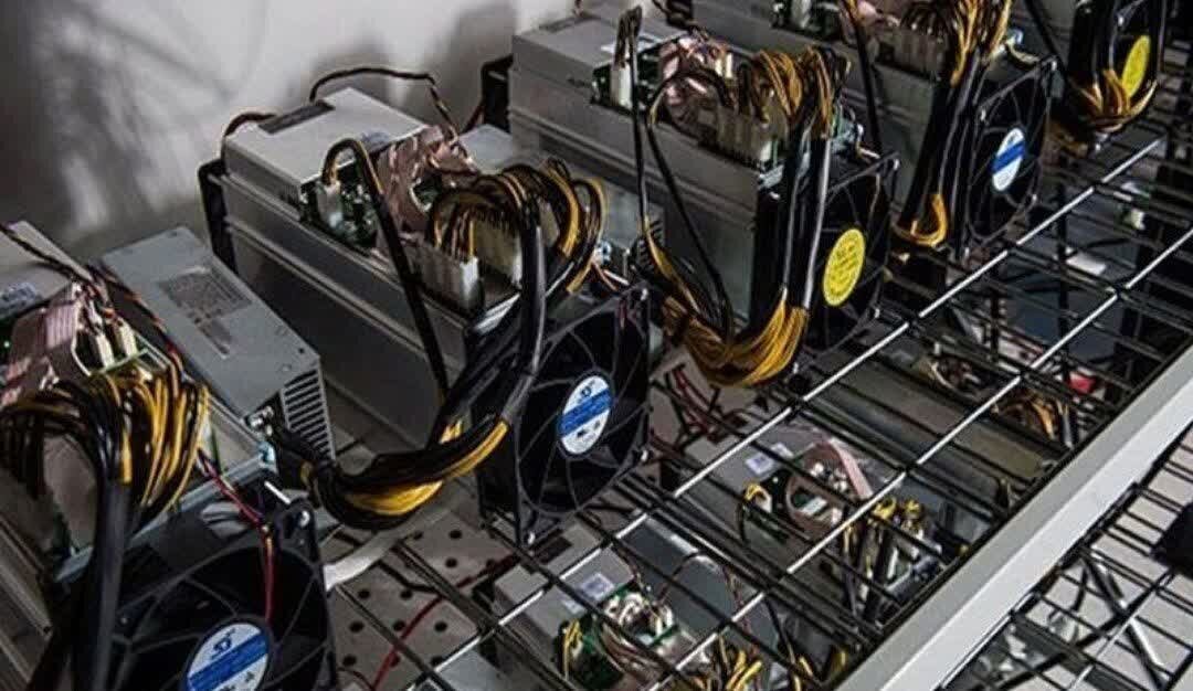 گزارش ماینرهای غیرمجاز و دریافت پاداش گزارش ماینرهای غیرمجاز و دریافت پاداش