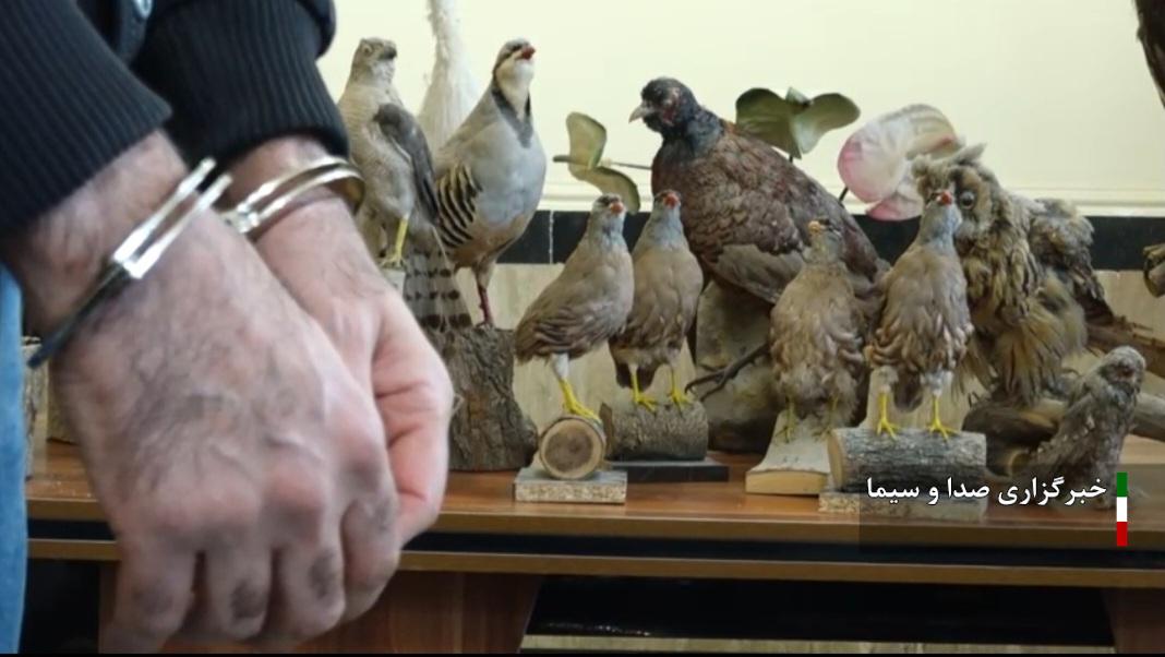 دستگیری شکارچی غیر مجاز در خرم آباد دستگیری شکارچی غیر مجاز در خرم آباد
