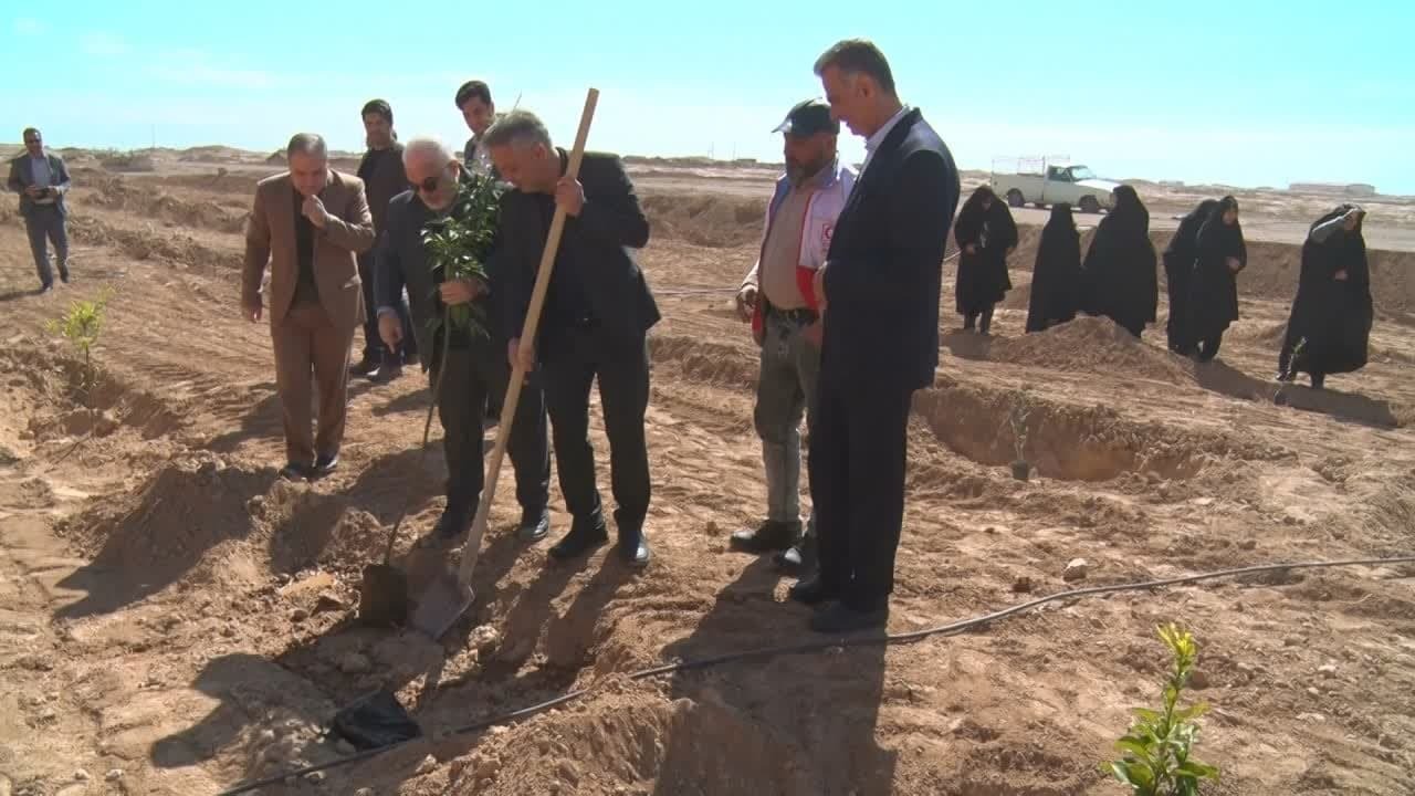 کاشت ۵۰۰ اصله نهال همزمان با هفته منابع طبیعی در میبد