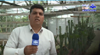تولید گل و گیاه زینتی در دانشگاه آزاد اسلامی مراغه