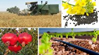 حمایت دولت از صادرات محصولات کشاورزی و غذایی