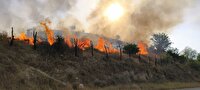 آتش سوزی مزارع و باغهای چم بلبل در باشت