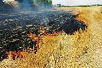 آتش سوزی در ۵۰ هکتار از مراتع و اراضی کشاورزی سوق