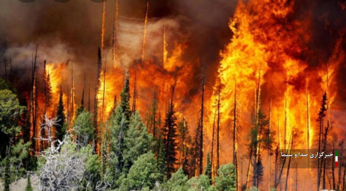 ***طرح ملی جامع برای مقابله با آتش سوزی جنگل ها وجود ندارد ***طرح ملی جامع برای مقابله با آتش سوزی جنگل ها وجود ندارد