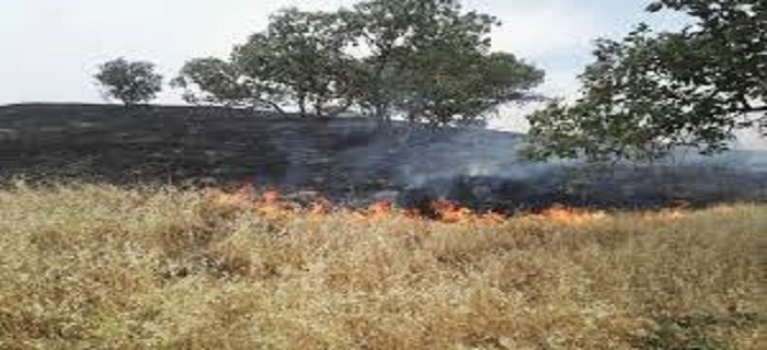 وقوع ۴۰ فقره آتشسوزی در عرصههای منابع طبیعی همدان وقوع ۴۰ فقره آتشسوزی در عرصههای منابع طبیعی همدان