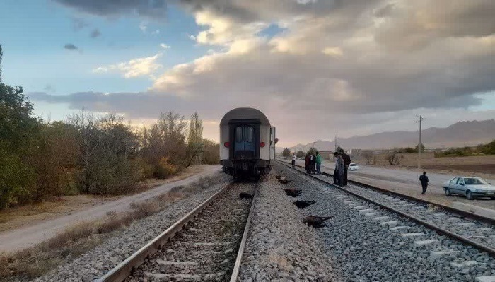 تلف شدن ۱۴ راس گوسفند در برخورد با قطار