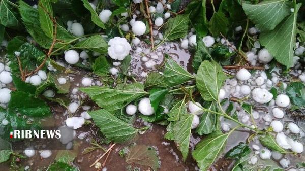 هشدار هواشناسی لرستان برای حفاظت از محصولات کشاورزی