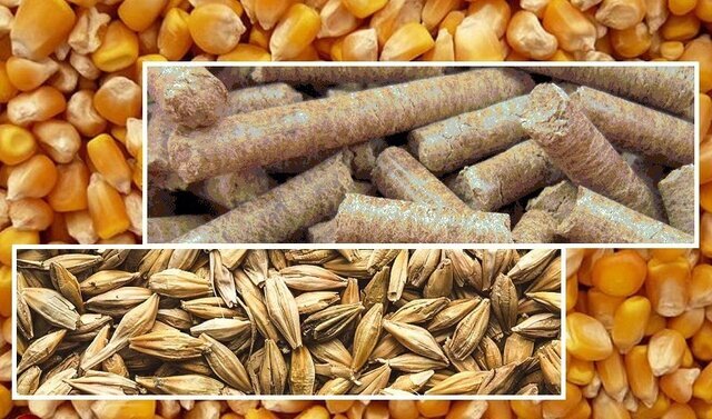 توزیع انواع نهاده دامی و کشاورزی در بهبهان