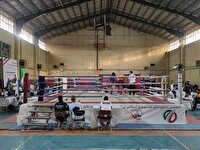 درخشش البرز در مسابقات موی تای کشور