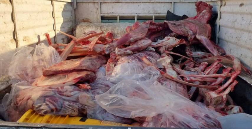 کشف و توقیف ۳۲۶ کیلوگرم گوشت قرمز غیر بهداشتی کشف و توقیف ۳۲۶ کیلوگرم گوشت قرمز غیر بهداشتی
