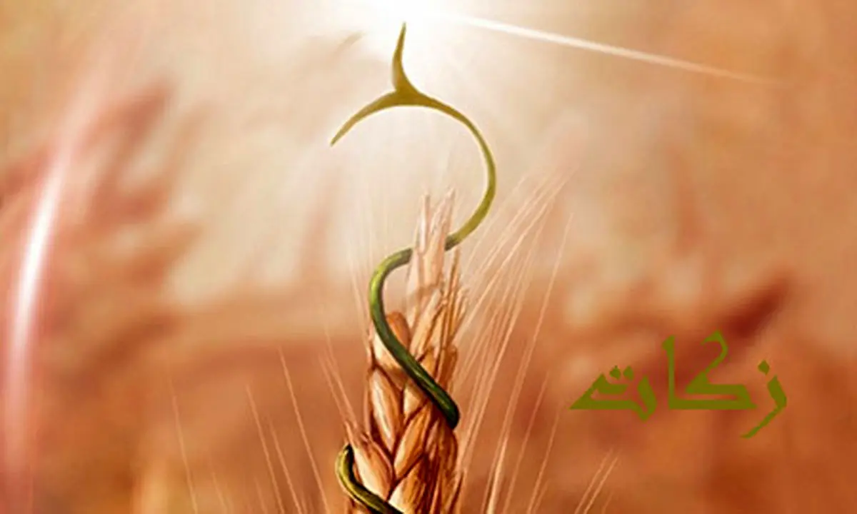 تحقق ۱۰۸ درصدی برنامه زکات در استان زنجان