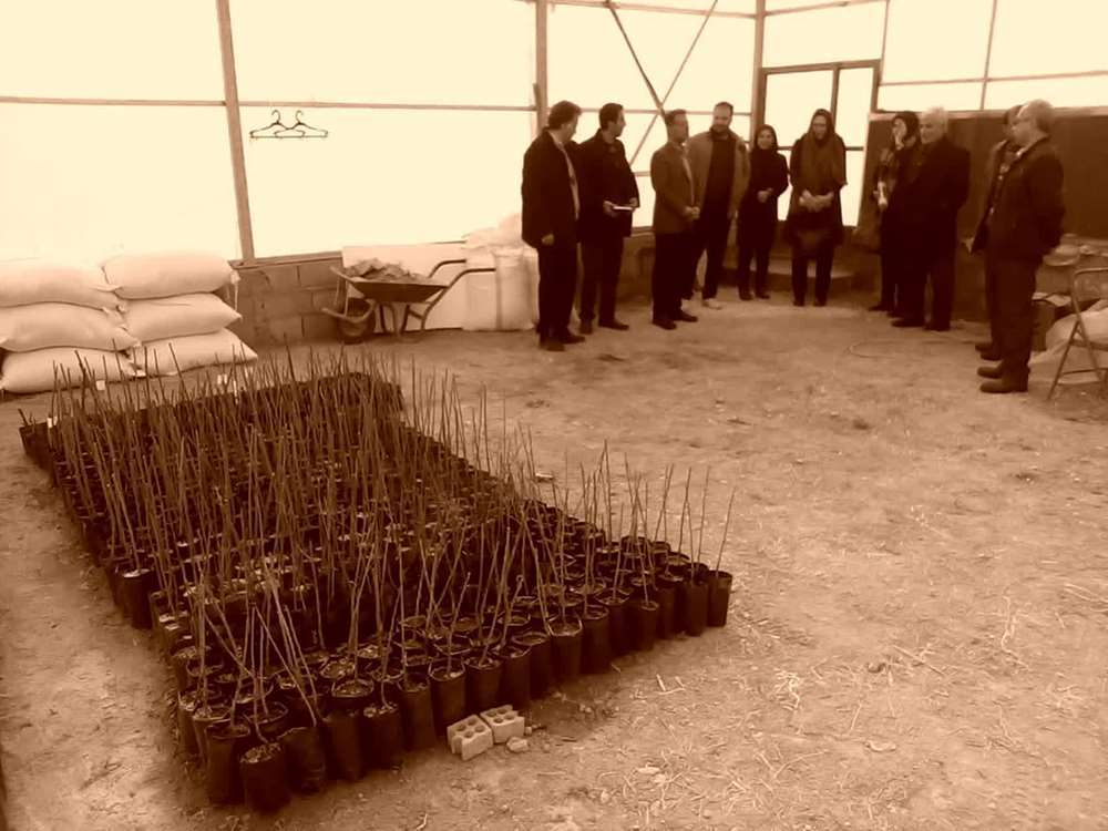 فعالیت ۶۰ شرکت دانشبنیان در چهارمحال و بختیاری فعالیت ۶۰ شرکت دانشبنیان در چهارمحال و بختیاری