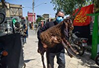 هشدار دامپزشکی خراسان رضوی برای قربانی دام در معابر عمومی