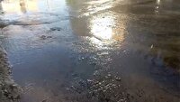 رنجش شهروند شیرازی از هدر رفت آب در محله گلخون