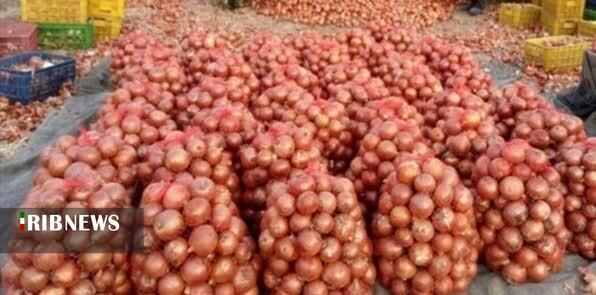 خرید و ذخیره سازی ۲ هزار تن پیاز در خراسان شمالی 