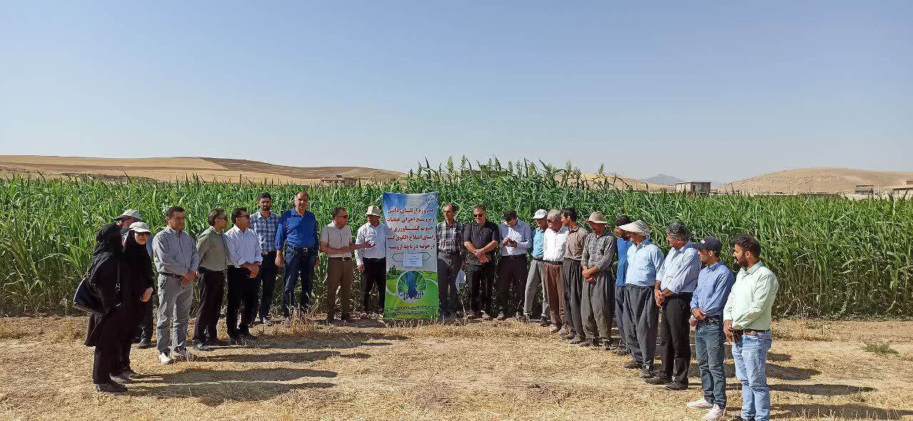 آموزش بیش از هفت هزار نفر از کشاورزان آذربایجان‌غربی در زمینه مدیریت مصرف آب