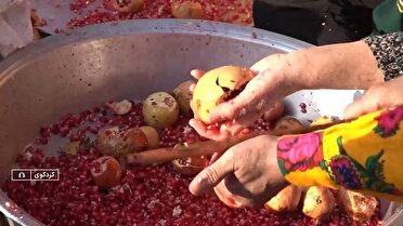 درخشش یاقوت های سرخ در جشنواره انار