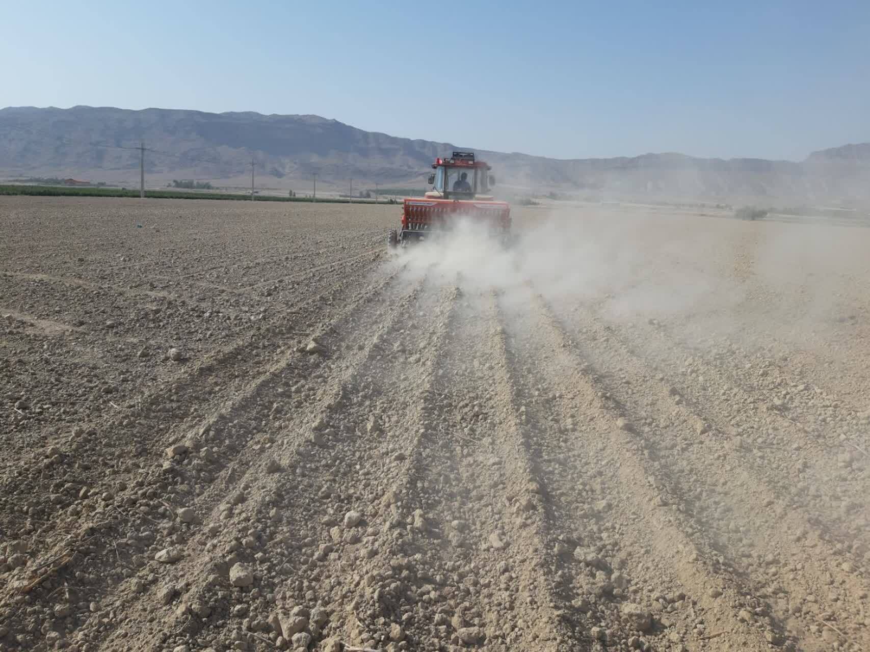 آغاز کشت گندم از زمین‌های زرین دشت