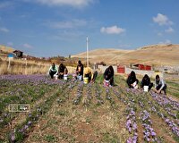 پویش ایران‌جان این‌بار به سرزمین زعفران رسیده؛ قائنات در شمال شرق کشور