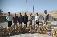 نجات پرندگان وحشی در بوکان ،ادوات صید غیرقانونی توقیف شد