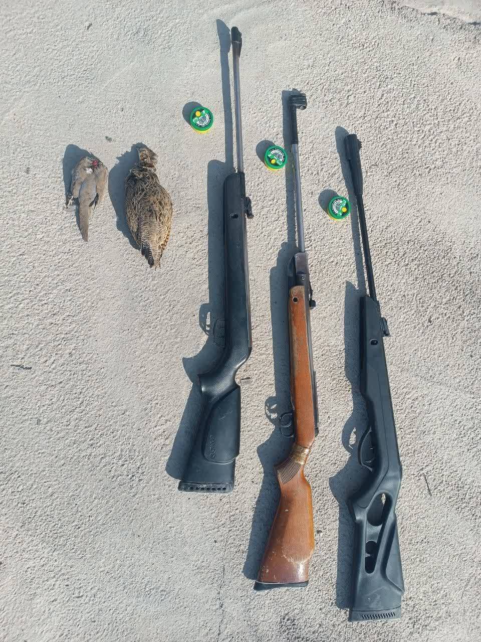 کشف سلاح و پرندگان شکارشده در قیروکارزین