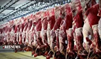 تولید هزار و ۵۰۰ تن گوشت قرمز در خراسان شمالی