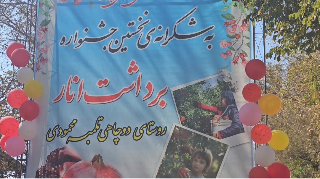 برگزاری جشنواره انار درسیرجان برگزاری جشنواره انار درسیرجان
