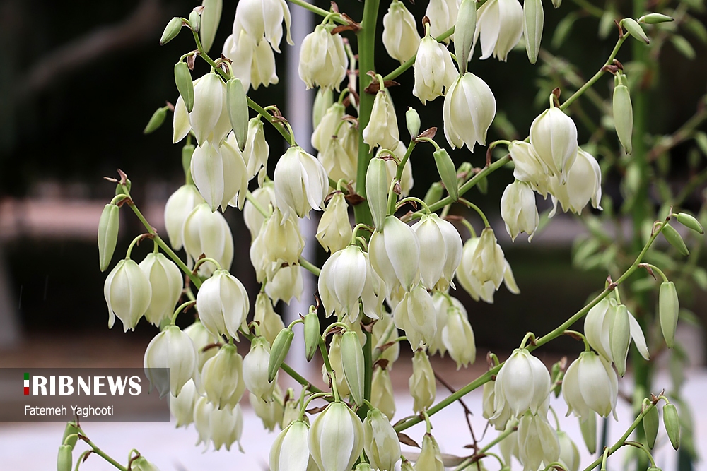 پیش بینی افزایش نسبی دما در طول روز ۶ آبان