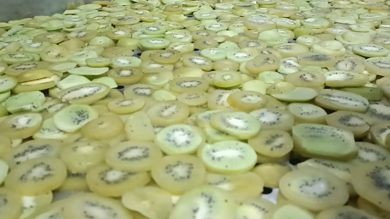 افتتاح نخستین کارخانه تولید پاستیل کیوی در گیلان