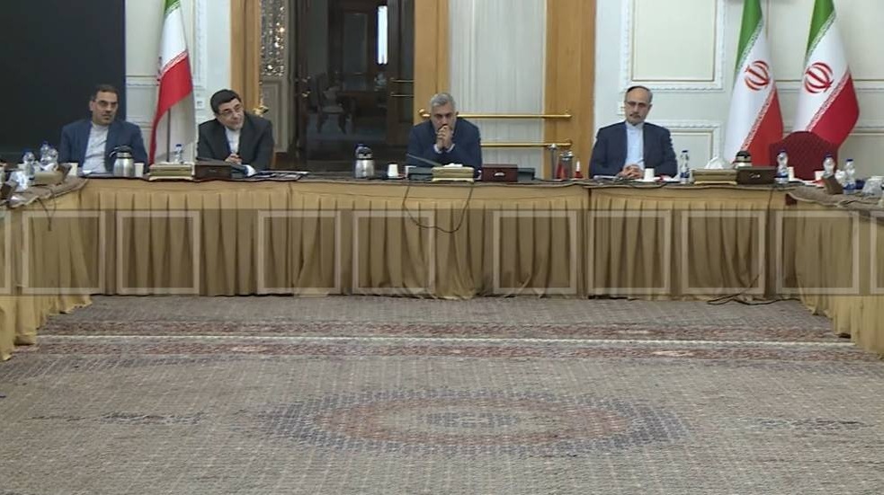 تمرکز دولت بر احیای بازار جهانی فرش دستباف