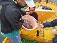 پایش کیفی مخزن سد مارون در بهبهان