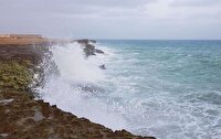 تردد شناور‌ها در سواحل استان بوشهر ممنوع است