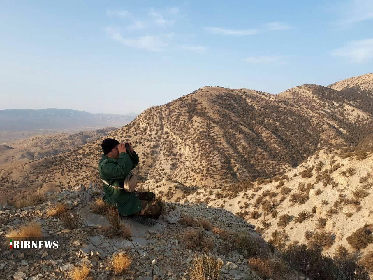 پایان سرشماری پاییزه حیات وحش در خراسان شمالی پایان سرشماری پاییزه حیات وحش در خراسان شمالی