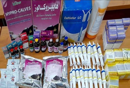 توقیف ۱۵۷ قلم داروی دامپزشکی تاریخ گذشته در سبزوار