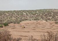 خلع ید ۱۹ هکتار از اراضی ملی در اسلام آباد غرب