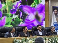 واردات ۲ هزار و ۵۰۰ تن مواد پلیمری تا هفته آینده