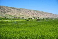 معیشت مرزنشینان در کرمانشاه با اجرای سامانه گرمسیری تضمین شده است