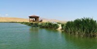 تالاب سولدوز نقده در آذربایجان غربی پس از ۱۵ سال سرریز شد