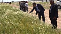 مراسم روز مزرعه در کبودراهنگ