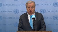 سازمان ملل عقب نشینی رژیم صهیونی از لبنان را خواستار شد