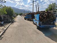 کشف و ضبط ۴ تن چوب جنگلی در پیرانشهر