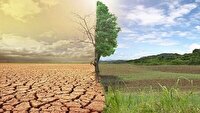 تلاش‌های ۵۰ ساله برای بیابان زدایی در البرز