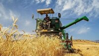 قزوین در آستانه برداشت گندم؛ ۲۴ مرکز خرید آماده جذب محصول کشاورزان