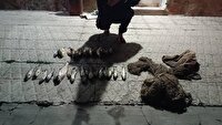 دستگیری صیاد غیرمجاز در پارک ملی لار با کشف ۳۰ قطعه ماهی صیدشده