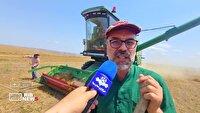 اهدای عدس برای موکب اربعین حسینی
