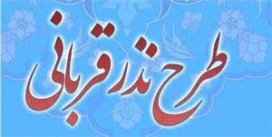 پویش نذر قربانی در کرمان