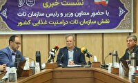 چشم‌انداز خوداتکایی ۹۰ درصدی در محصولات راهبردی